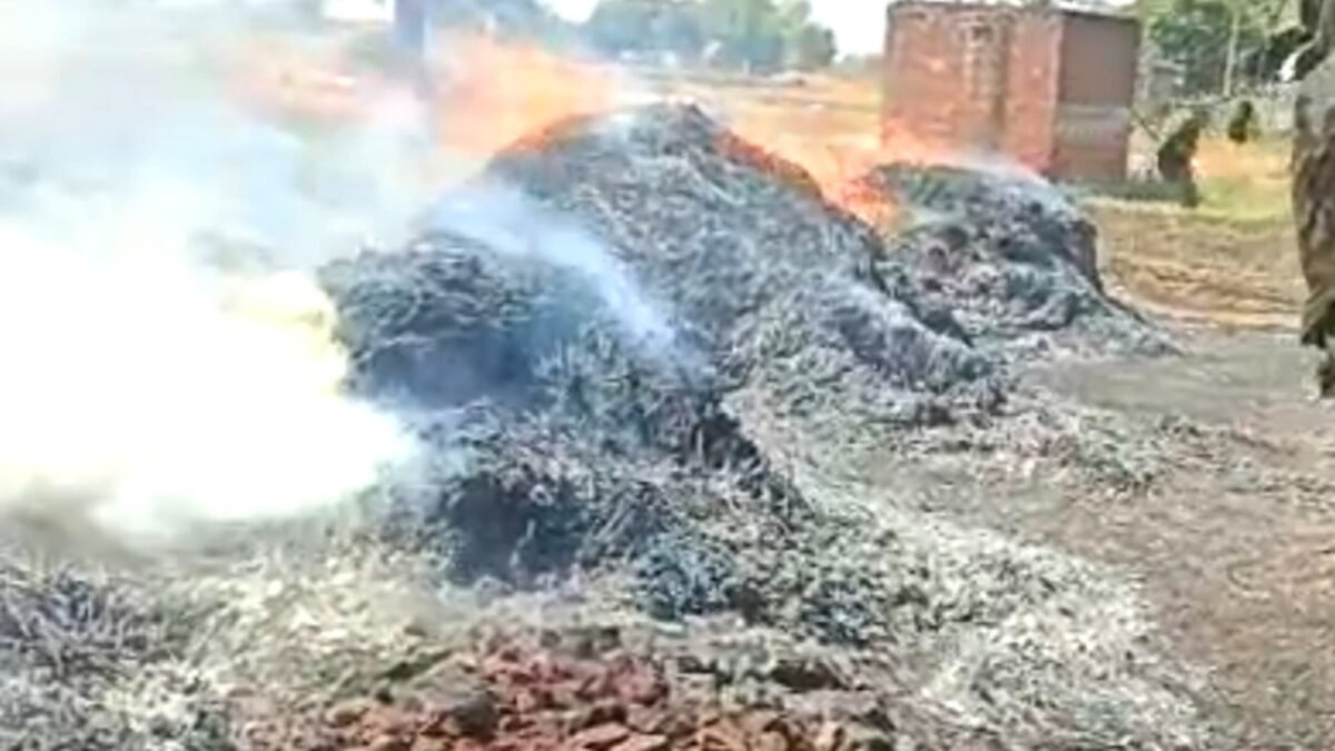 खटौटी में विद्युत लाइन फॉल्ट से लगी आग में 8 बीघा जमीन जलकर बर्बाद