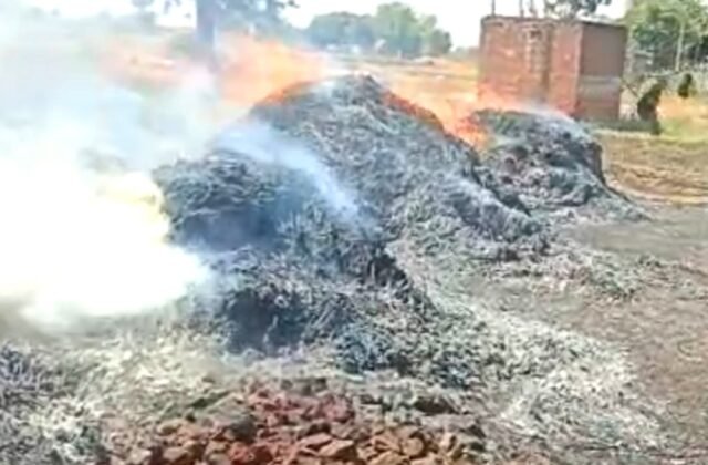 खटौटी में विद्युत लाइन फॉल्ट से लगी आग में 8 बीघा जमीन जलकर बर्बाद